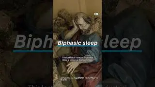 Your Sleep Schedule Is Only 200 Years Old #dwhistoryandculture