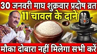 30 जनवरी माघ शुक्रवार प्रदोष व्रत के दिन 11 चावल के दाने वाला उपाय जरुर करे || Pradeep Ji Mishra