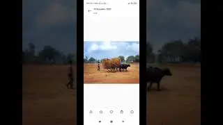 Dynamic sky editing in all redmi devices 🔥🔥 hidden features 😳😳😳😳