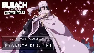 Byakuya【Anime Broadcast Celebration Special: Thousand-Year Blood War Zenith Summons: Refinement】