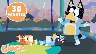 Halloween Pranks With Bingo! 🎃🦇 | Bingo - Official Channel