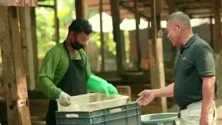 Ayala Corporate Video 2018: 