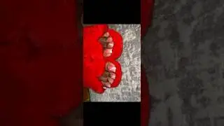 Long Ebony Pink Toes