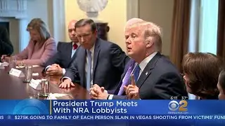 President Trump Meets With NRA Lobbyists