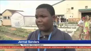 Odom's organics produce market opens