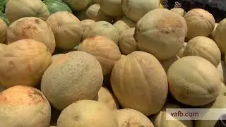 Halifax County Agricultural Closeup