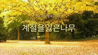 계절을잃은나무