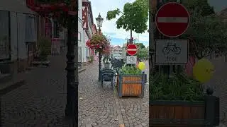 Seligenstadt Germany 11.09.2024 #travel