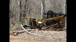 Advanced Forest Equipment SS Extreme mulching a big hardwood trees.