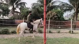 King Horse Riding &mdash; feel the royalty! 🏇👑 #HorseRiding #KingVibes #AdventureBD #RoyalRide