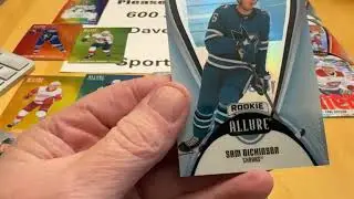 Allure Hockey 2025-26.   Great looking cards again.  What do you think? Please subscribe. Thank you!