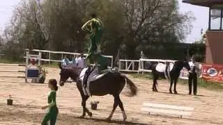 volteggio a cavallo il Sagittario libero squadra cat D