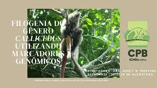 XIII SPIC/ICMBio &ndash; Filogenia do g&ecirc;nero Callicebus utilizando marcadores gen&ocirc;micos