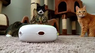 Unboxing With Cats | Pet Fusion - AMBUSH INTERACTIVE CAT TOY Review