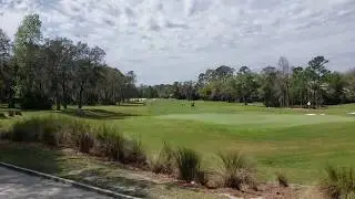 Legacy Member/Member Timelapse