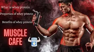 What is whey protein, properties and benefits of whey protein.