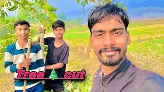 पीपल का पत्ता बकरीं को खाने के लिये !! #dallyblog #vlog #kishanvlogs 