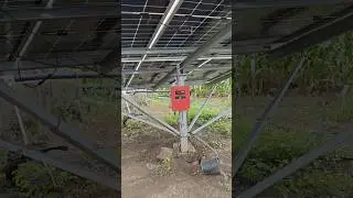 GK energy and oswal solar pump installation ⚡🙌#shorts #shortvideo #viral #viralshorts #youtubeshorts