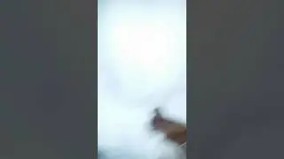 مديح اولاد الشيخ الجعلي