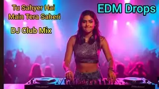 Tu Shayar Hai Main Teri Shayari | Romantic DJ Remix 2025 | Hindi  Song EDM Drop