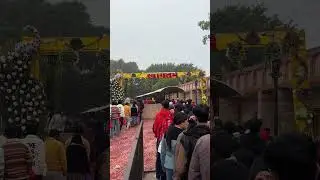 Amazing devotion and crowd at Shri Mata Mansa Devi Temple &ndash; New Year 2025 💚☮️✌🏻