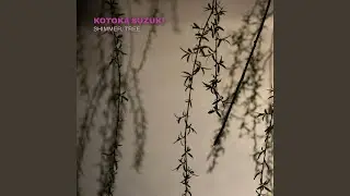 Automata