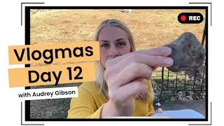 День 12 Vlogmas: Камни из Мичигана