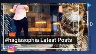 Top 10 #hagiasophia Instagram Posts | January 2020