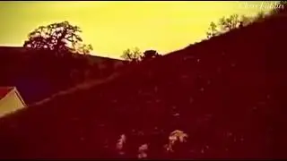 East Bay, CA. 2019 film by Chris Fabbri 