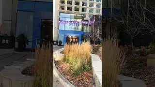 Telus Park Edmonton Canada #shorts
