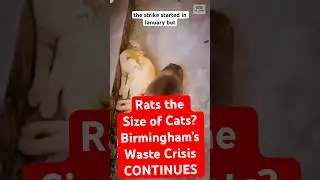 Rats the Size of Cats? Birmingham&rsquo;s Waste Crisis Explained #news #birminghamuk #shorts