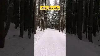 Winter in Ushu Forest Kalam Valley #short