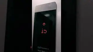 10 августа 2024 г.
