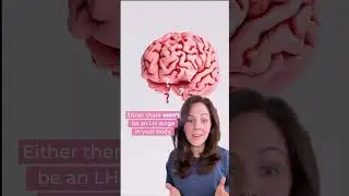 What Happens When You Ovulate ?