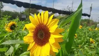 So Beautiful countryside 