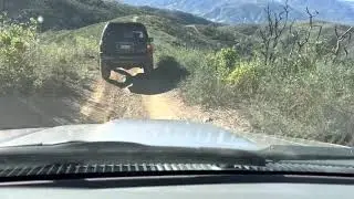 Cow mountain OHV trails