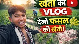 Gaye Ne Mere Sare Genhu Chung Liye 🥺#vlog #cow #sad #viralvlogs 