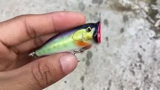 Popper lure handmade Thailand
