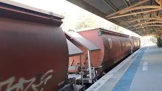 Loaded SSR Grain Train through Muswellbrook destination Carrington 12/07/25