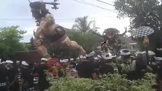 Ogok ogok