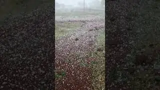 hailstorm#hailstrom #rain #severerain