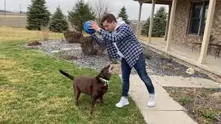 Tory The Blind Dog Plays Fetch