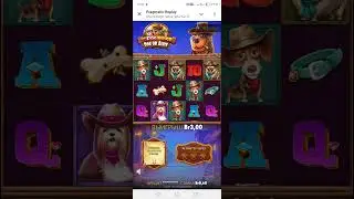 Бонуска в The Dog House #win #slot #наигрыши #slotscasinogames #jackpot #casino #slotmachine
