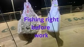 Catching flounder, trout, grouper, snook and much more right before going to work in Paradise 😎🎣🏝️⚓