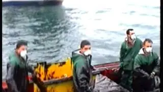 a Illa de Arousa contra o chapapote