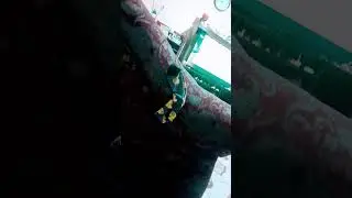 no se caiap