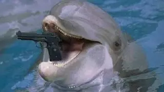 MILITARY DOLPHINS WITH GUNS - The Guyism Speed Round for 10/18