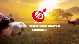 Semen Beku BIB Lembang Di Akui Secara Global