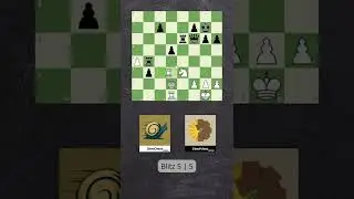 Blunder?! | SlowChess Vs Stoofvlees | Chess Engines