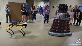 🐕  #DALEK VS #ROBOTICDOG #DANCEOFF #DOCTORWHO #DALEKHAL 🎶 #GETLUCKY #DAFTPUNK #SHORTS #SUBSCRIBE🎂